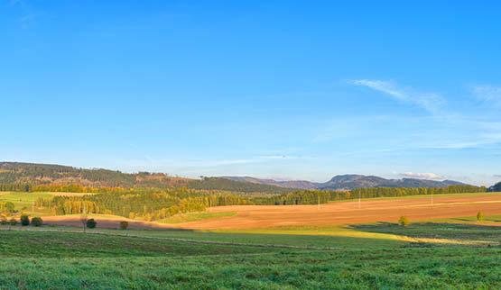 Aandachtstrekker Polen
